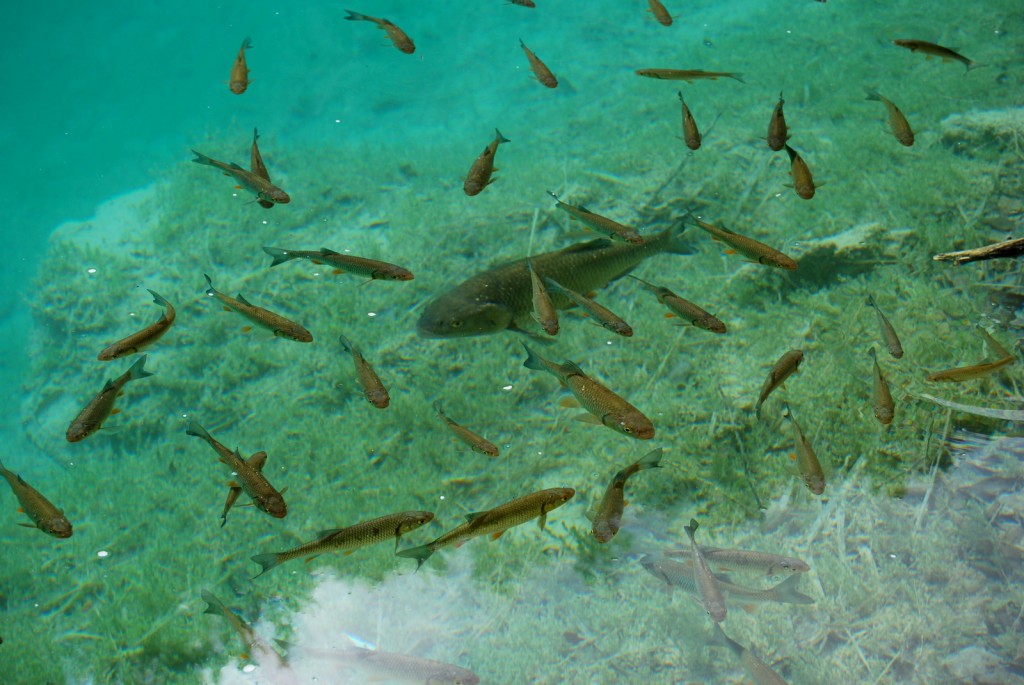 plitvice5